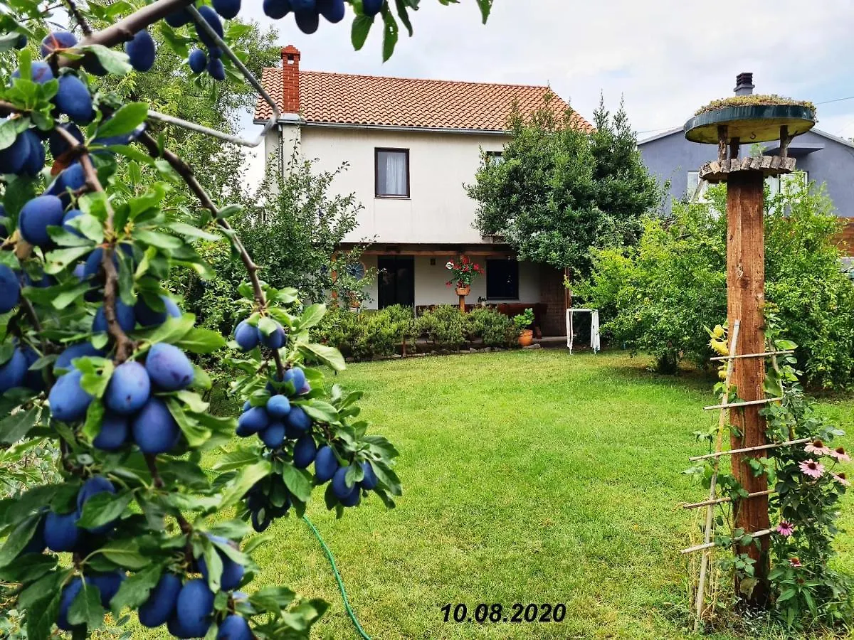 Apartment Greenhill Pula