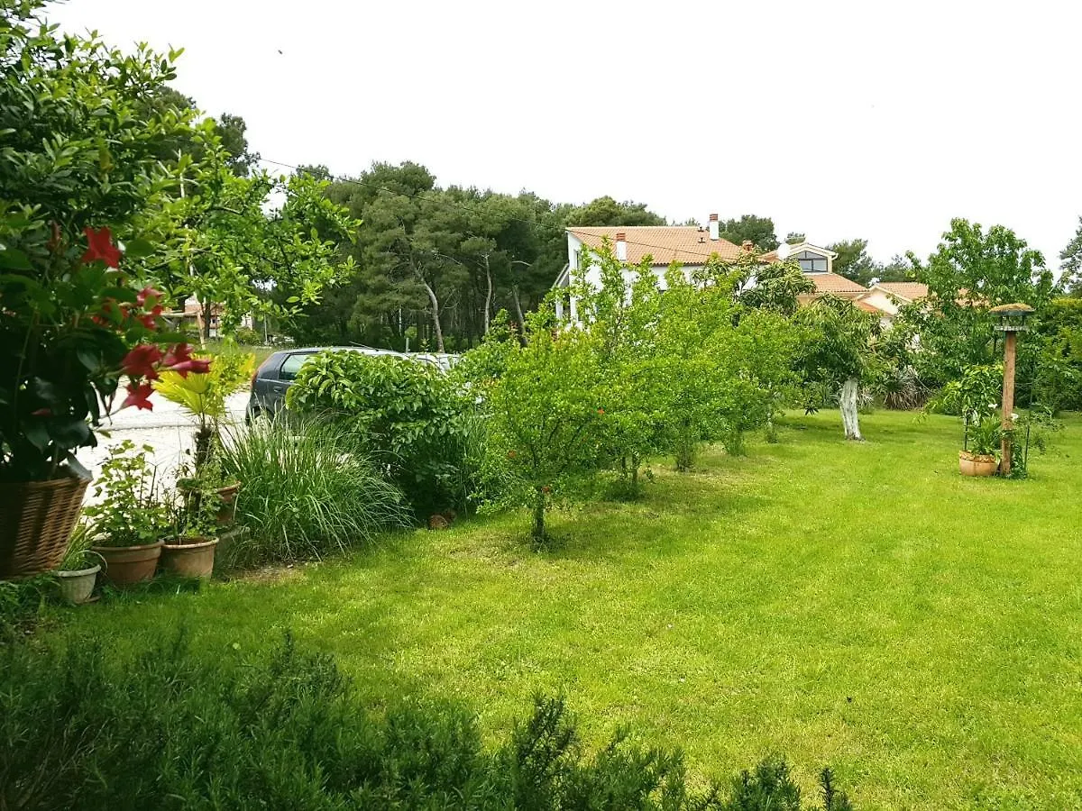 Apartment Greenhill Pula